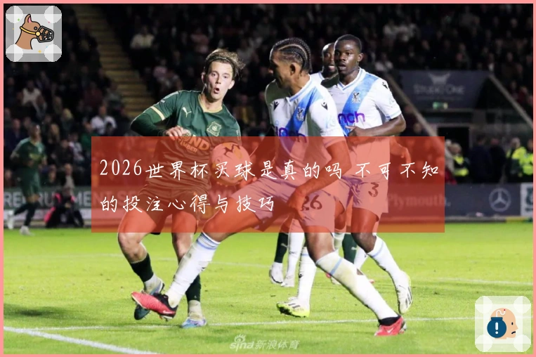 2026世界杯买球是真的吗 不可不知的投注心得与技巧