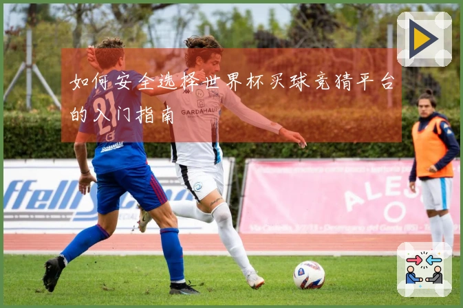 如何安全选择世界杯买球竞猜平台的入门指南