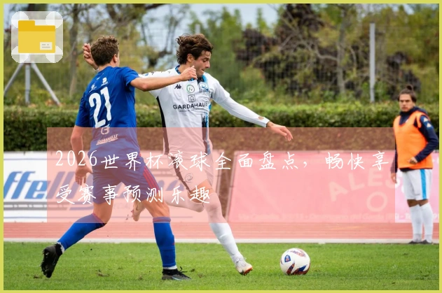 2026世界杯滚球全面盘点，畅快享受赛事预测乐趣