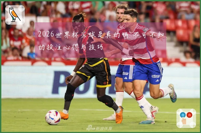 2026世界杯买球是真的吗 不可不知的投注心得与技巧